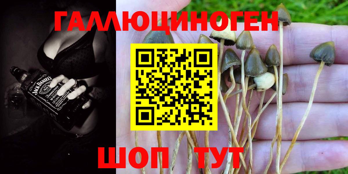 Псилоцибиновые грибы GOLDEN TEACHER  Псилоцибиновые грибы мухоморы  Вход с VPN  Будённовск 